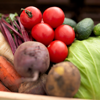 KT FRESH BOX | CSA