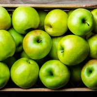 KT FRESH BOX | CSA