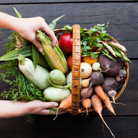 KT FRESH BOX | CSA