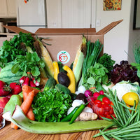 KT FRESH BOX | CSA